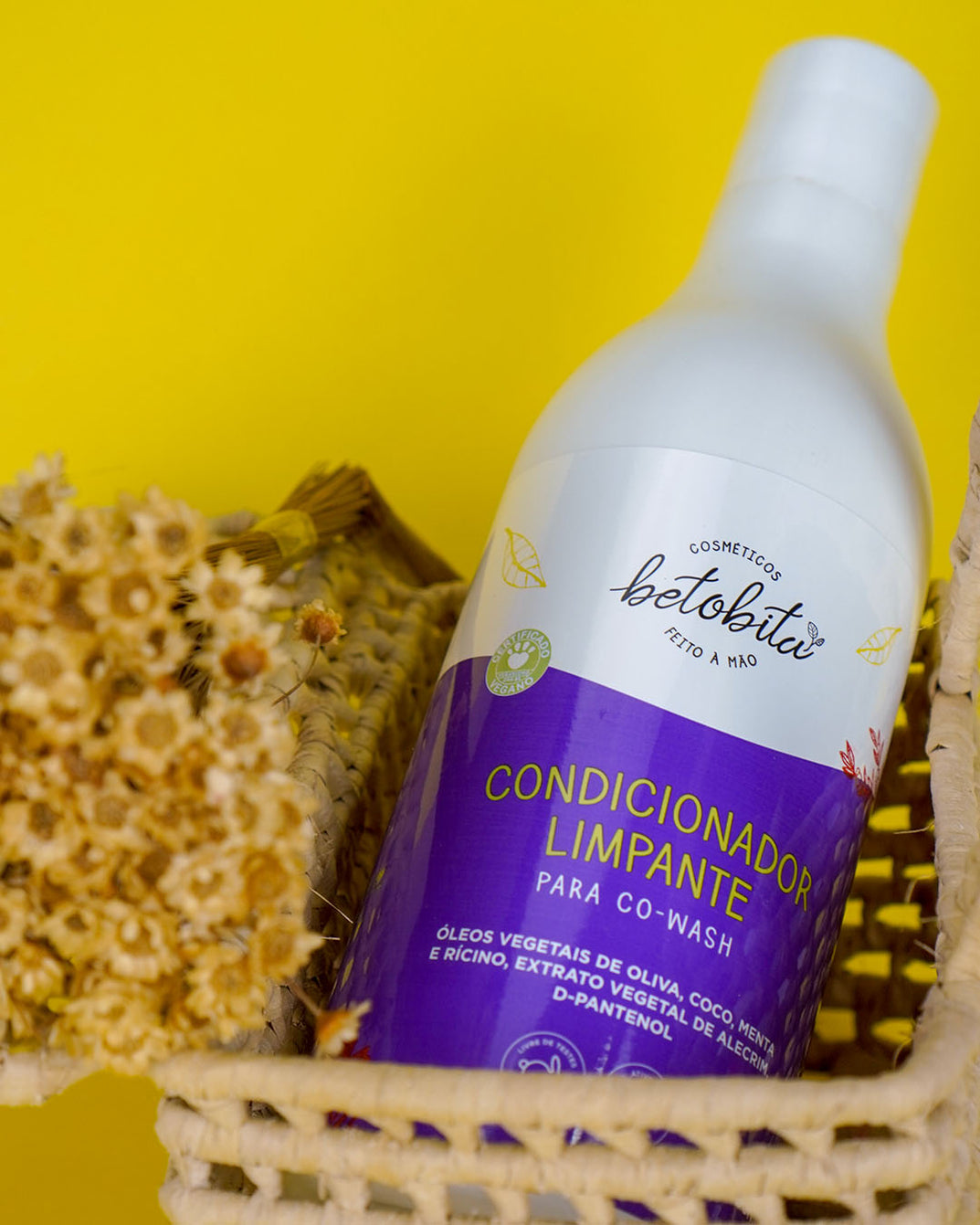 Condicionador Limpante para CO-WASH 500 ml – BetoBitaloja
